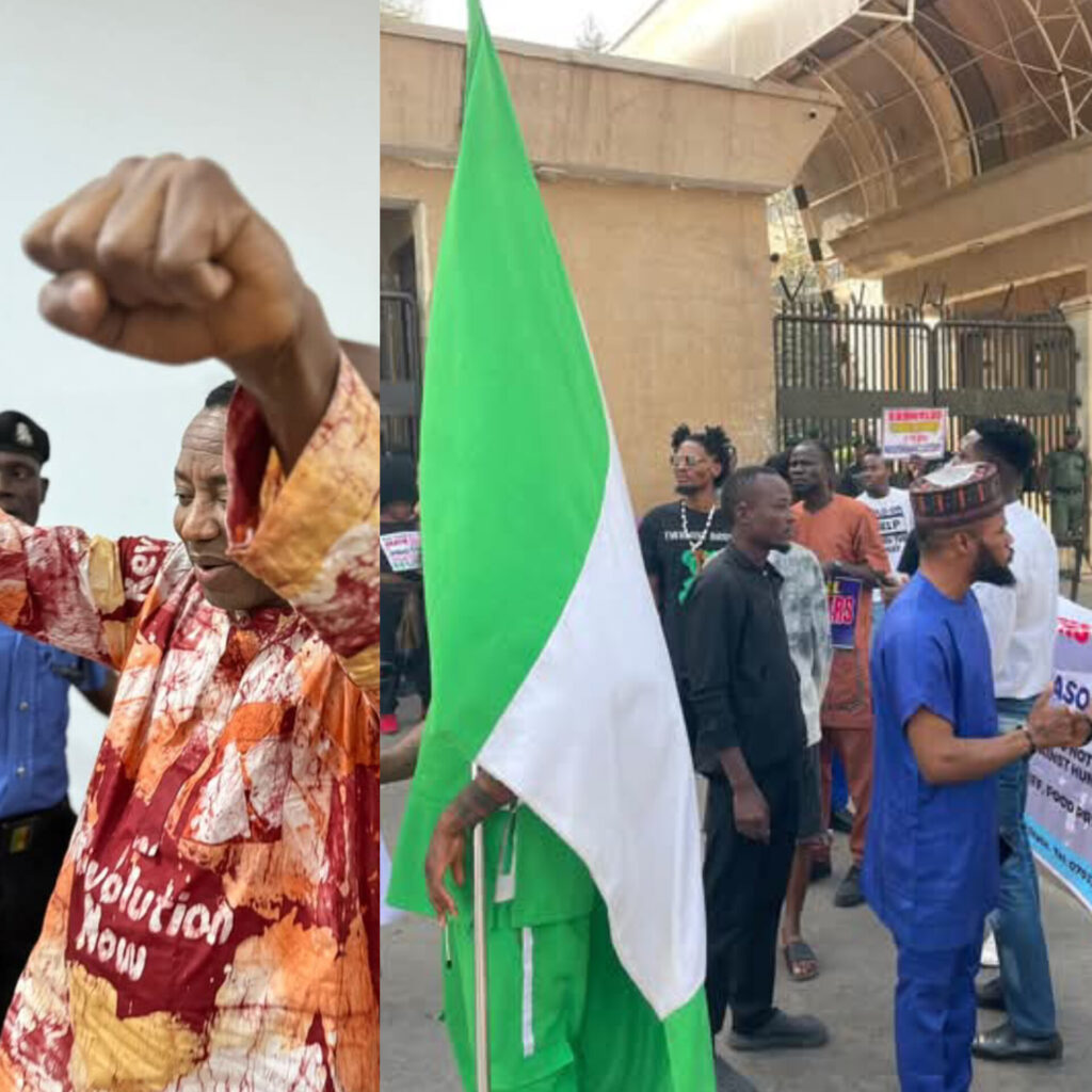 Sowore | ThisNigeria