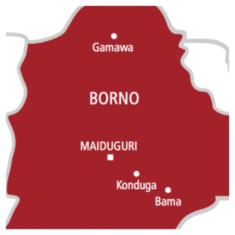 Borno-map-1024x1024