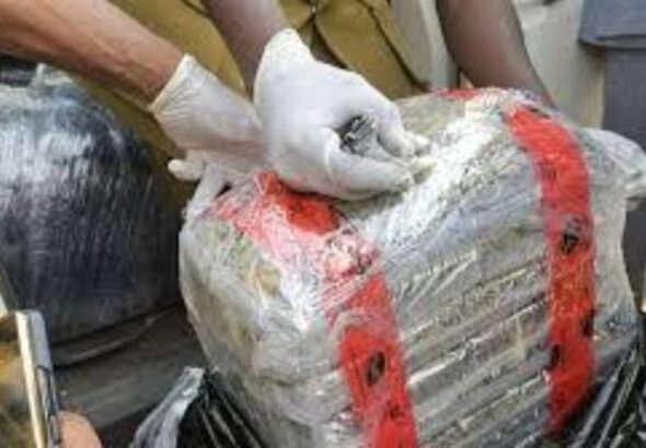 Customs-intercepts-N18.96bn-cannabis-1000x600