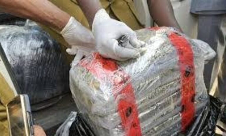 Customs-intercepts-N18.96bn-cannabis-1000x600