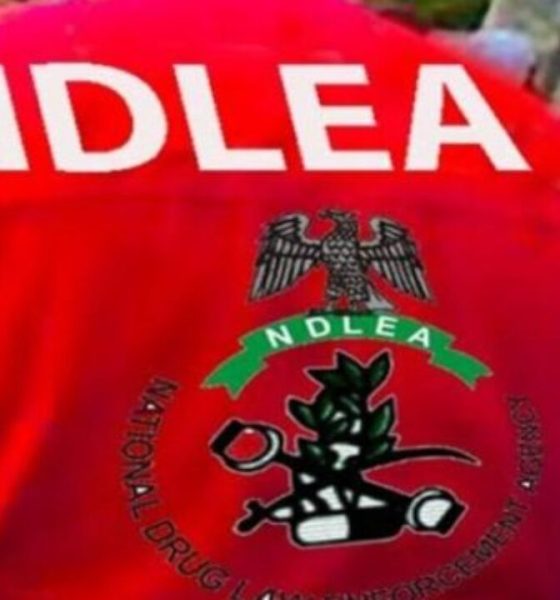 NDLEA-1-560x600