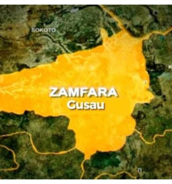 Zamfara-state-560x600