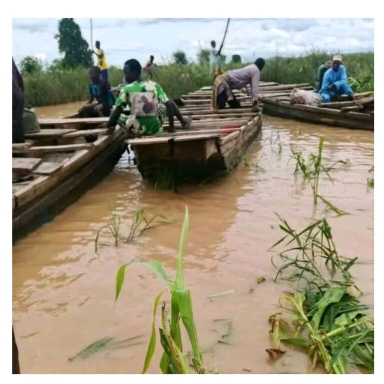 Military-raises-fresh-safety-concerns-on-River-Benue-after-boat-mishap-1024x1024
