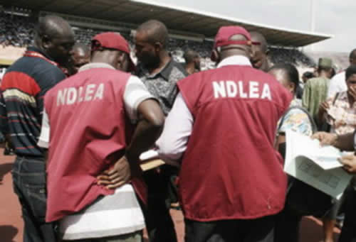 NDLEA-ops