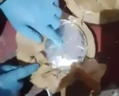 1000335379