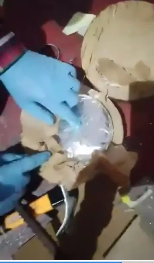 1000335379